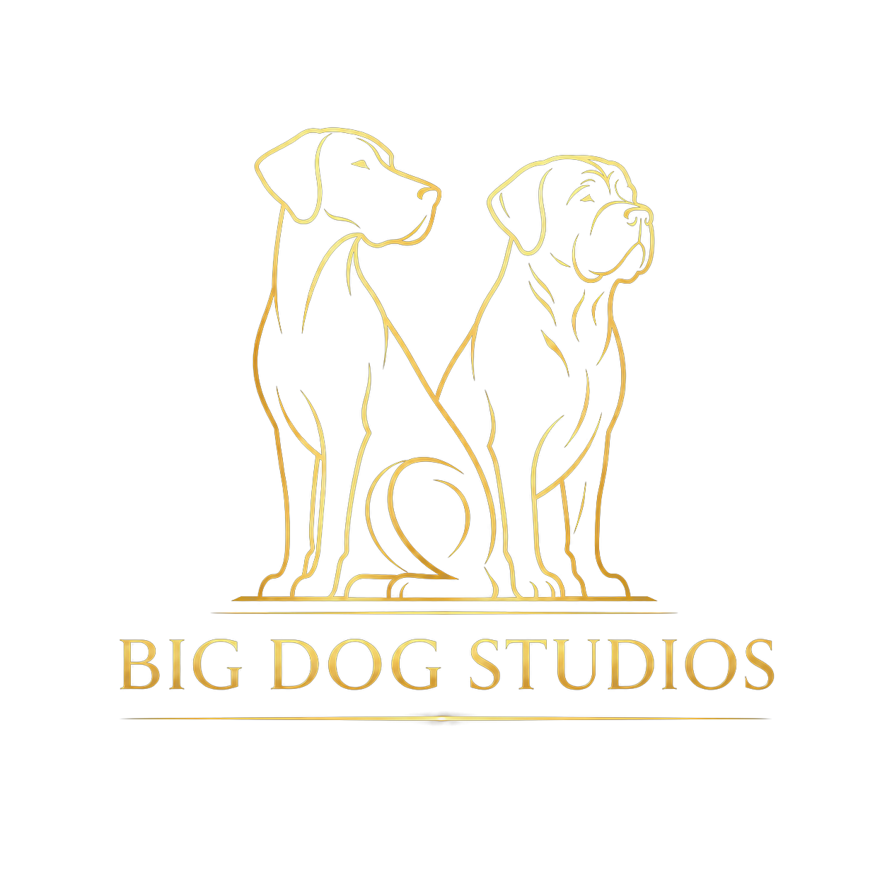 Big Dog Studios